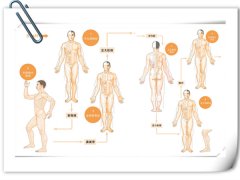 经络对老倪膏药来说究竟起到了什么作用？