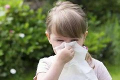 桔络功效：空气污染，孩子的肺比大人的更容易受伤？