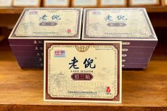 老倪祖三贴换新包装啦!专注颈肩腰膝保健养护，品质始终如一